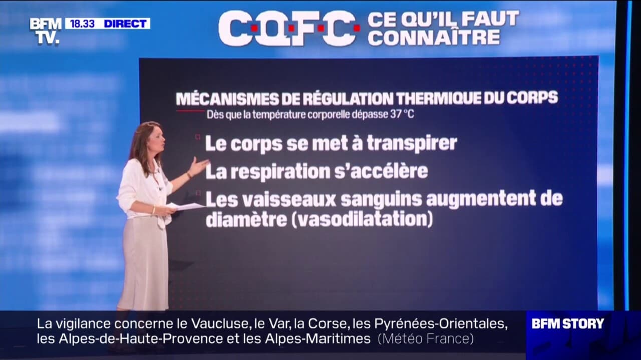 Quels Sont Les Effets De La Canicule Sur Le Corps