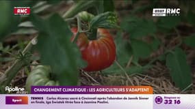 Changement climatique: les agriculteurs s'adaptent
