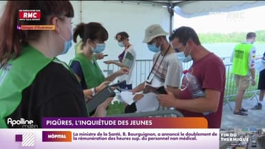 Piqûres sauvages : l'inquiétude des jeunes