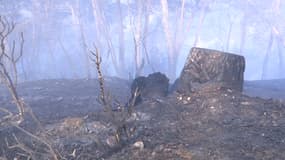 L'incendie a touché 10 hectares de forêt. Les pompiers continuent de surveiller la zone pour empêcher toute reprise.
