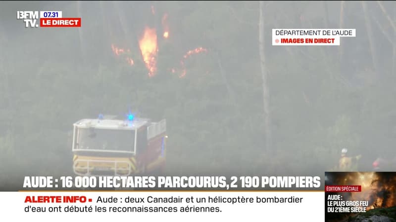 Incendie dans l'Aude: une reprise de feu constatée à Saint-Laurent-de-la-Cabrerisse