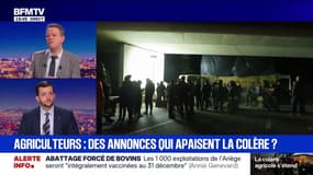 Dermatose nodulaire: "Ce gouvernement a toujours une bataille de retard", estime Jean-Philippe Tanguy