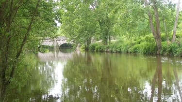 Vue de la Seiche, la rivière bretonne où Lactalis a déversé des matières qui ont fait étouffer des centaines de poissons.