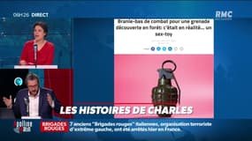 Il pense trouver une bombe de la seconde Guerre Mondiale dans son jardin, c'était en réalité un sextoy