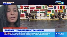 Orques de Marineland: le rapport d'expertise fait polémique