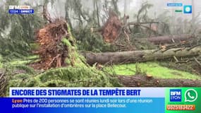 Rhône: la tempête Bert a fait des dégâts dans plusieurs villes, les stigmates encore visibles