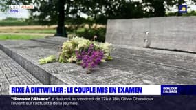 Rixe à Dietwiller: un guet-apens tendu au jeune homme tué, un couple mis en examen