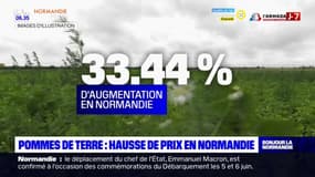 Le panier BFM: le prix des pommes de terres en hausse en Normandie