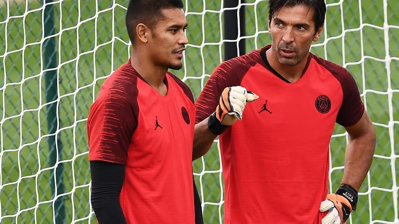 Areola et Buffon