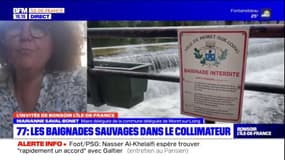 Seine-et-Marne: Marianne Saval-Bonet rappelle que la baignade est "interdite et dangereuse" à Moret-sur-Loing