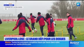 Ligue des Champions: Lille se déplace à Liverpool pour un grand défi
