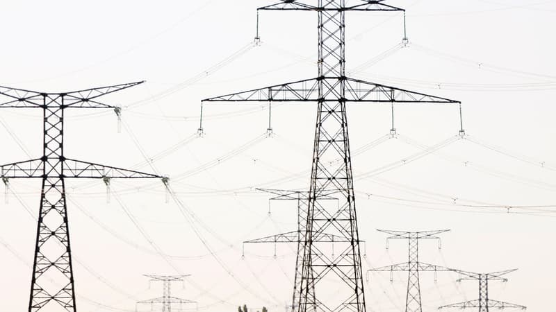 Pour les consommateurs résidentiels, la facture annuelle d'électricité est la plus basse en France, tandis que la facture annuelle en Allemagne est supérieure de 80% à celle en France, selon une étude de Pwc réalisée pour le régulateur belge de l'énergie.