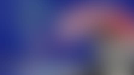 Le monde selon Trump