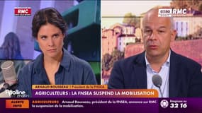 Néonicotinoïdes : "Une demande de la profession complète"