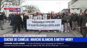 Suicide d'une lycéenne en Seine-et-Marne: une marche blanche organisée en hommage à Camélia