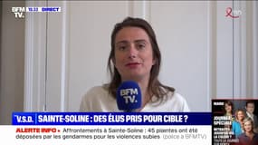 Marine Tondelier (EELV): "S'il n'y avait pas eu de forces de l'ordre [à Sainte-Soline], il n'y aurait pas eu ni d'affrontement ni de destruction"