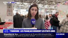 "Il y a un léger ralentissement": les Français boudent les États-Unis, avec une baisse de 25% des intentions de départ 