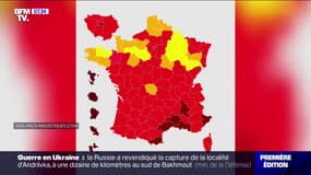 Humidité et douceur: le moustique tigre est de retour dans 74 départements de France métropolitaine