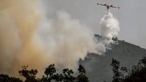 Un Canadair au dessus des incendies au Portugal
