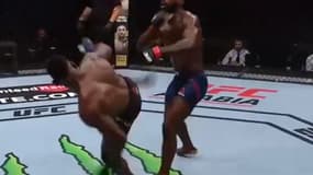 UFC: Buckley signe le KO de l’année