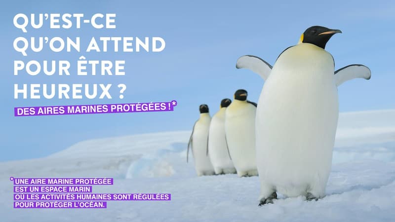 Campagne d'engagement institut Océanographique 