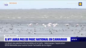 Bouches-du-Rhône: pas de parc national pour la Camargue