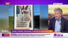 Racontez-nous - Lapins/contre l'invasion, il affiche la recette du civet