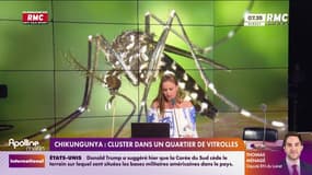 À Vitrolles (Bouches-du-Rhône), 33 personnes ont été contaminées par le chikungunya et devient le plus grand cluster de France