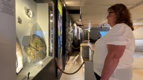 Le musée de Préhistoire des Gorges du Verdon dévoile sa nouvelle exposition à Quinson à partir de ce samedi 22 juin.