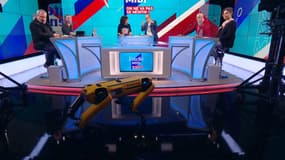 Le robot Spot sur le plateau d'Estelle Midi