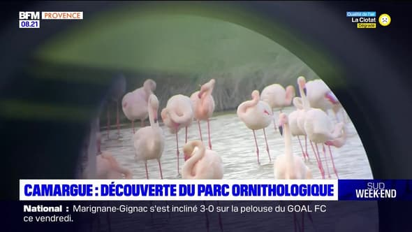 Passions Provence du samedi 20 avril 2024 - Camargue, découverte du parc ornithologique 