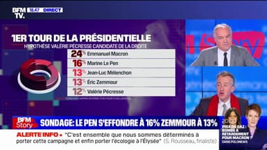 Selon un nouveau sondage, Jean-Luc Mélenchon et Éric Zemmour gagnent chacun deux points et sont à égalité, à 13% d'intentions de vote