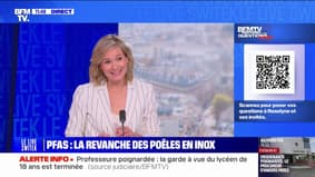 Avec la controverse sur les polluants éternels, faut-il repasser aux poêles en inox?