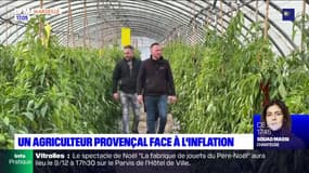 Bouches-du-Rhône: l'agriculture souffre de l'inflation