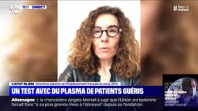 Plasma: les premiers résultats attendus "d'ici deux semaines et demi"