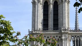 La cathédrale Notre-Dame de Paris en août 2015 (photo d'illustration)