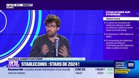 Les stablecoins, stars de 2024
