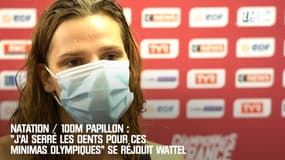 Natation (Papillon) : "J'ai serré les dents pour ces minimas olympiques" se réjouit Wattel