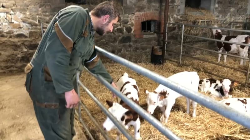 Rhône: l'appel d'un agriculteur de 18 ans, une cagnotte en ligne lancée pour l'aider à s'installer