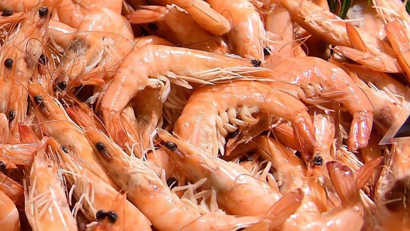 Auchan rappelle des crevettes contaminées par une bactérie