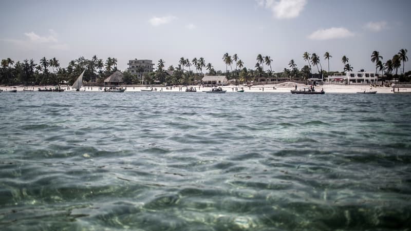 Une plage à Matemwe, en Tanzanie (image d'illustration).