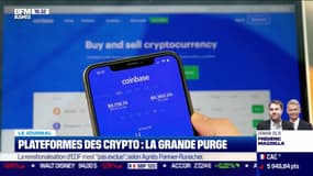 Plateforme des cryptos : la grande purge