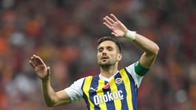 D. Tadic
