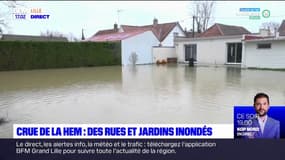 Jardins, garages, rues... La crue de la Hem a provoqué des inondations