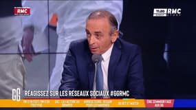 Pour Eric Zemmour, "l'attaque de la Gare de Lyon est un francocide"
