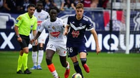 Toma Basic avec Bordeaux