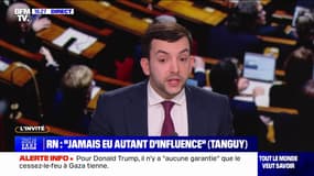 Usage du 49.3 par François Bayrou sur le budget: "François Bayrou est un renard, il est très malin", affirme Jean-Philippe Tanguy (RN)