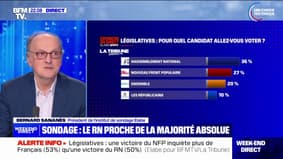 Élections législatives : le Rassemblement national proche de la majorité absolue à l'Assemblée nationale, selon un sondage Elabe