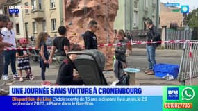 Bas-Rhin: un dimanche sans voiture organisé à Cronenbourg