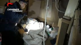 Les images de la cave où une femme a été séquestrée pendant 10 ans en Italie